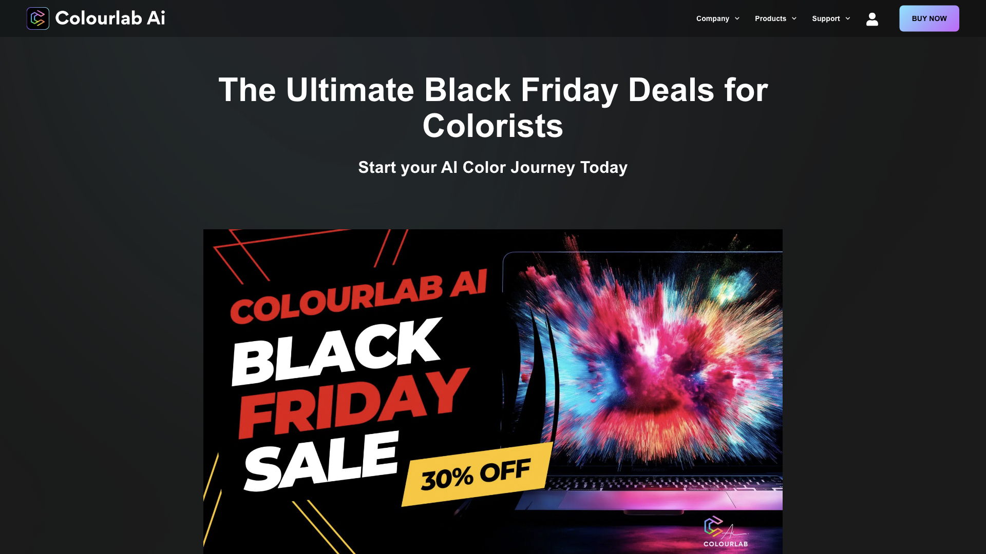 Black Friday Sale 2024 - Colourlab.ai