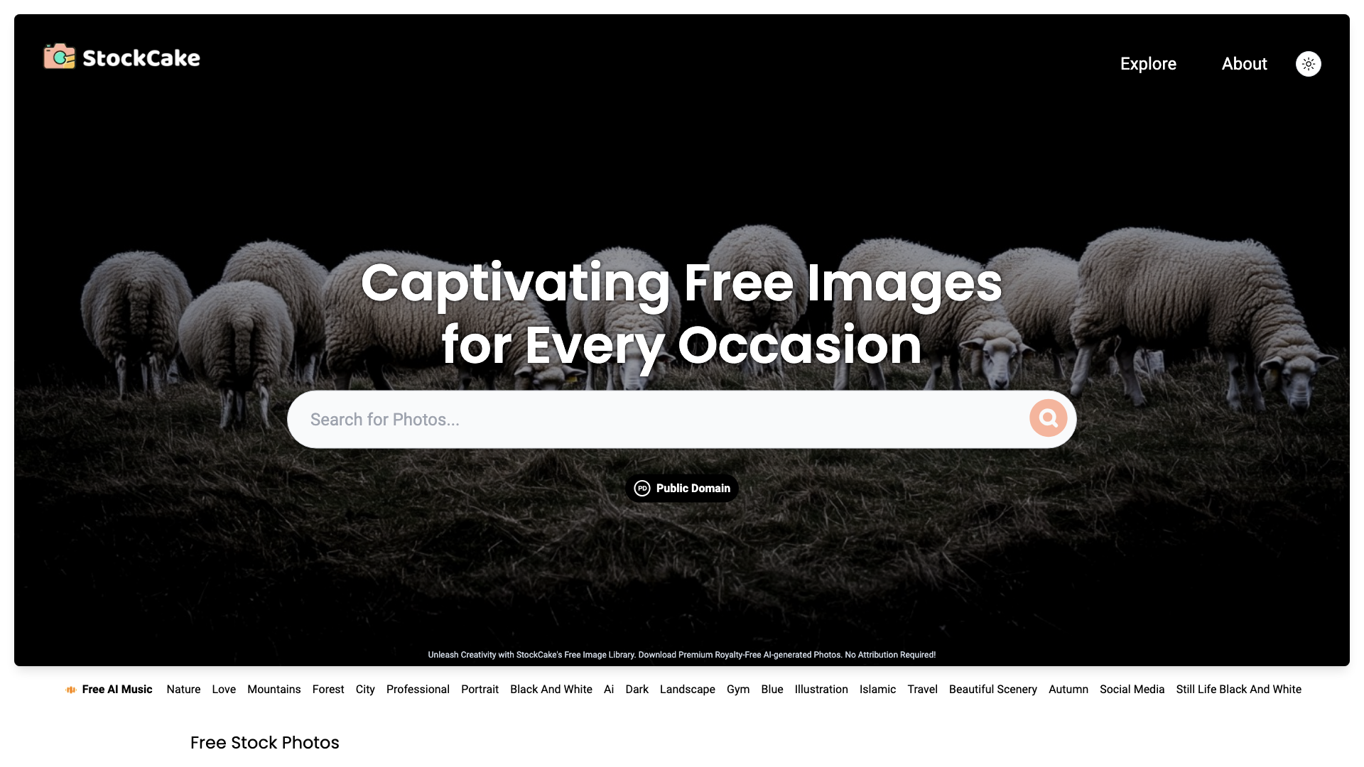 StockCake: Captivating Free Images for Every Occasion