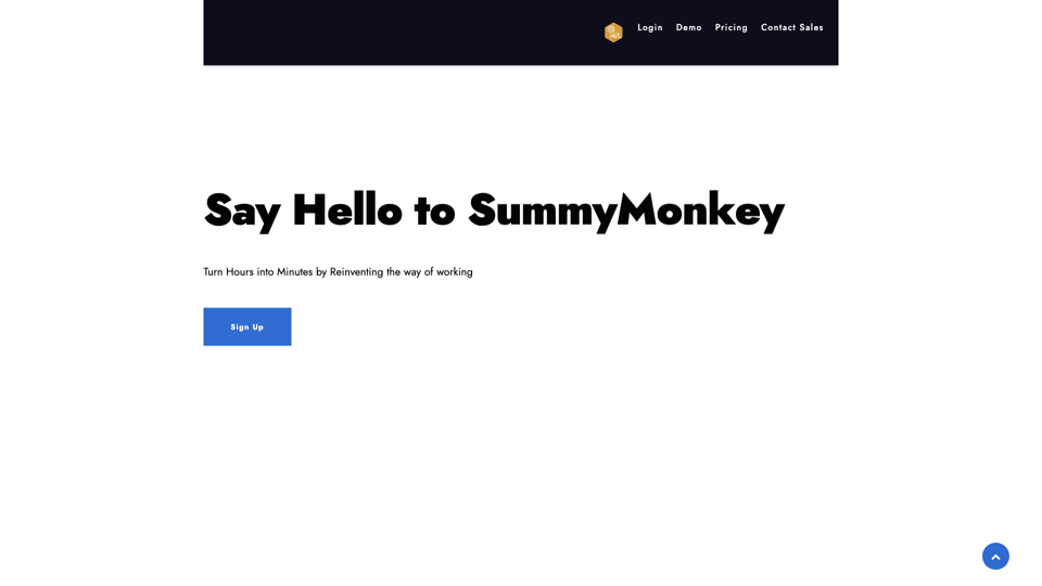 summymonkey site's screenshot